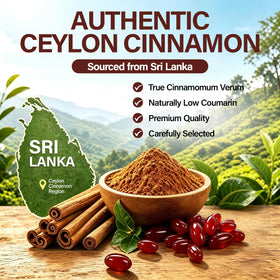 Gélules de cannelle de Ceylan HILOTUX dans une main