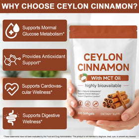 Gélules de Cannelle de Ceylan IFUDOIT sur une surface blanche