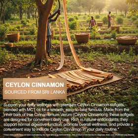 Gélules de cannelle de Ceylan JINNAGLTU sur une table de cuisine