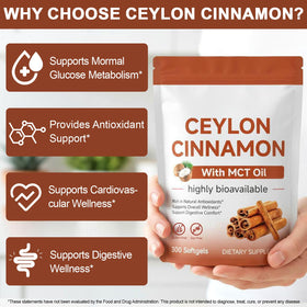 Gélules de cannelle de Ceylon vopxccvy dans un environnement de cuisine