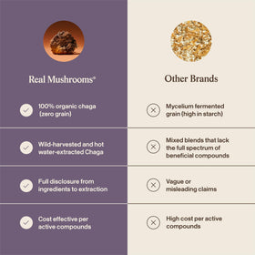 Gélules de Chaga Bio avec un fond naturel