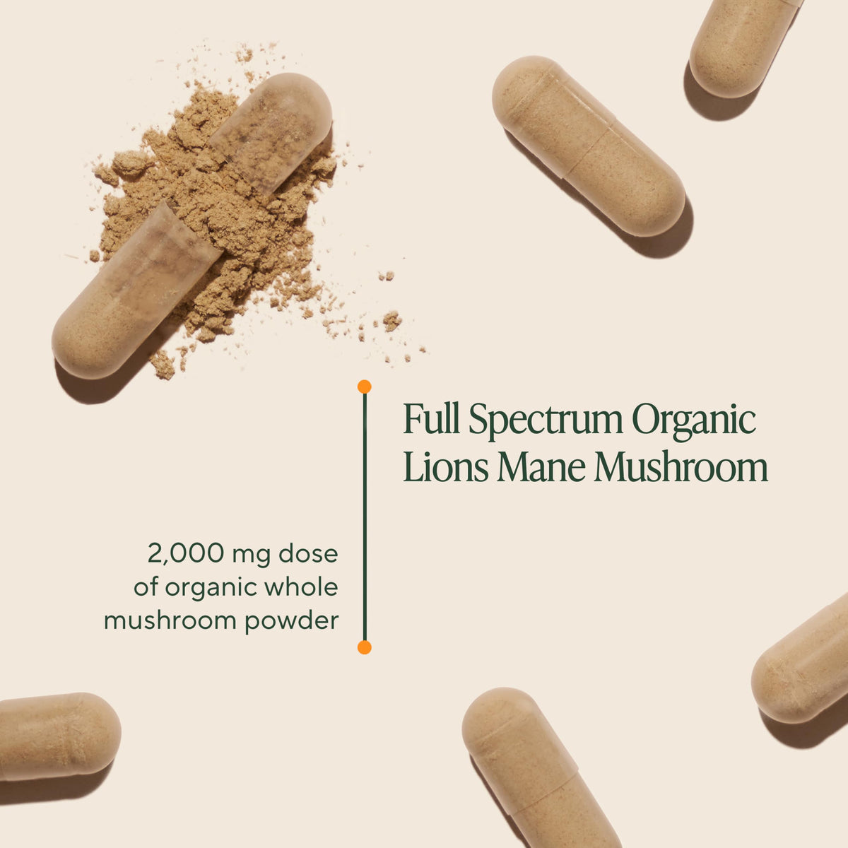 Gélules de Champignon Lion's Mane OM MUSHROOM SUPERFOOD, vue de côté