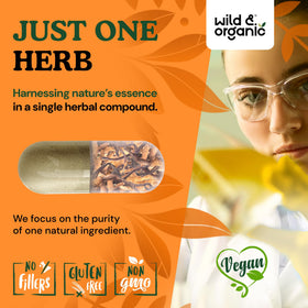 Gélules de Cordyceps Wild & Organic dans une main