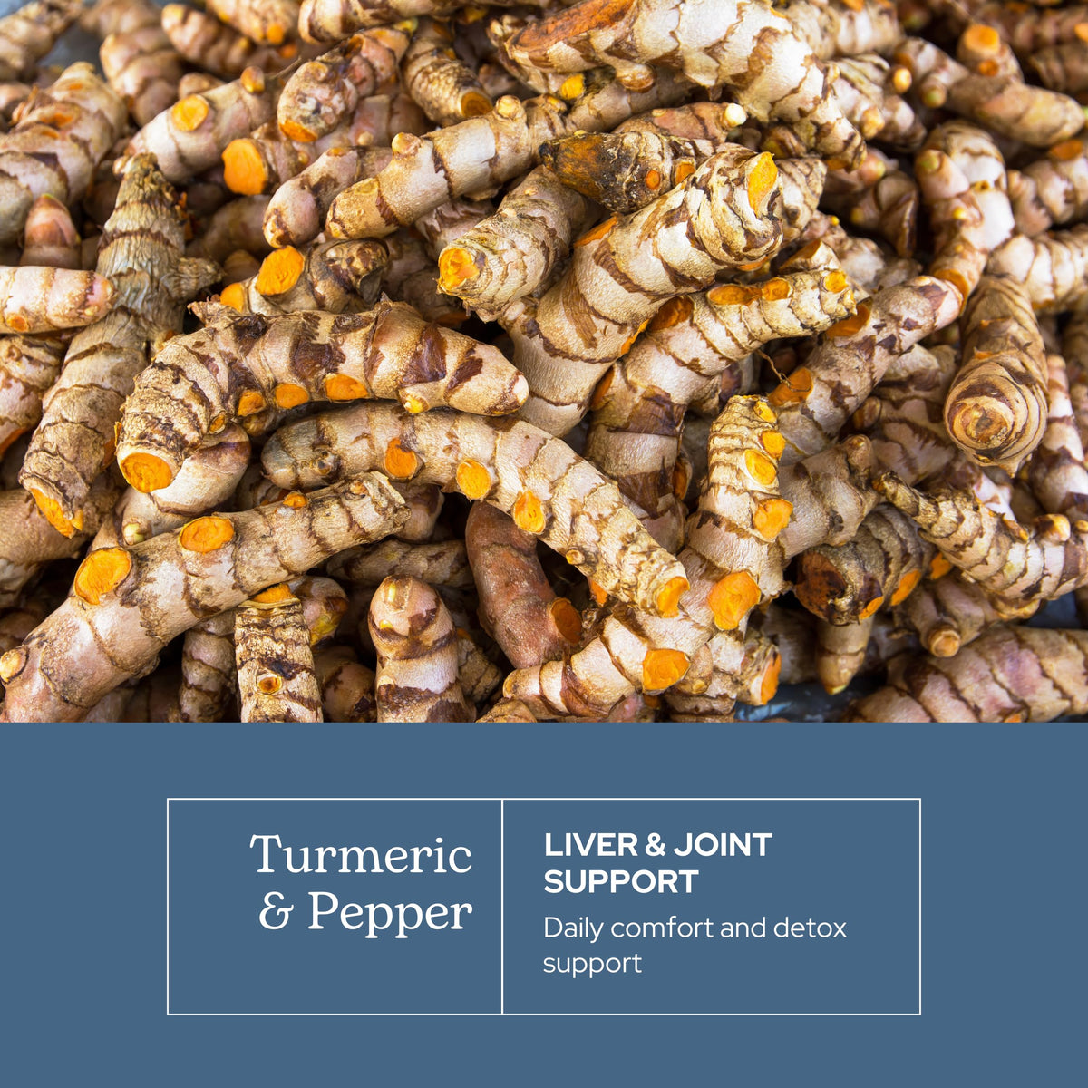 Gélules de curcuma bio sur un fond naturel
