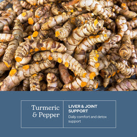 Gélules de curcuma bio sur un fond naturel