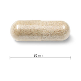 Gélules de fer Jamieson sur fond blanc
