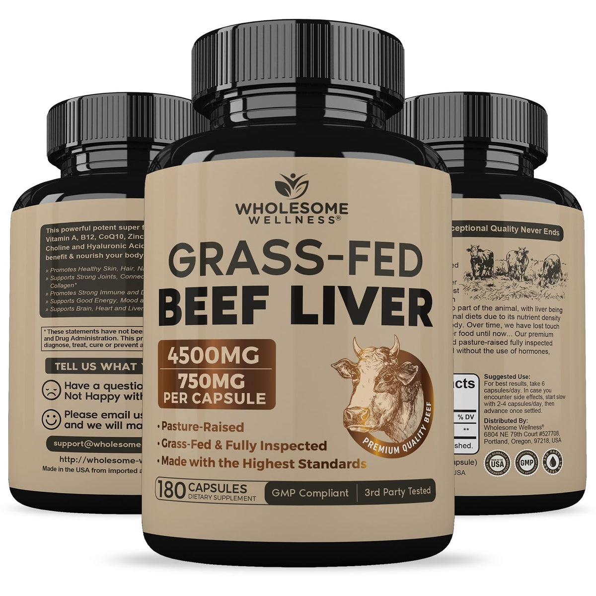 Gélules de foie de bœuf déshydraté Wholesome Wellness dans une main