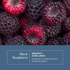 Gélules de framboise noire ECLECTIC INSTITUTE à côté d'un verre d'eau