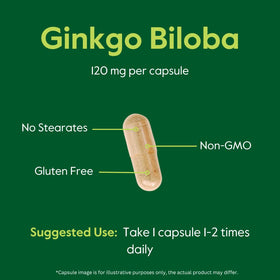 Gélules de Ginkgo Biloba BESTVITE sur une cuillère