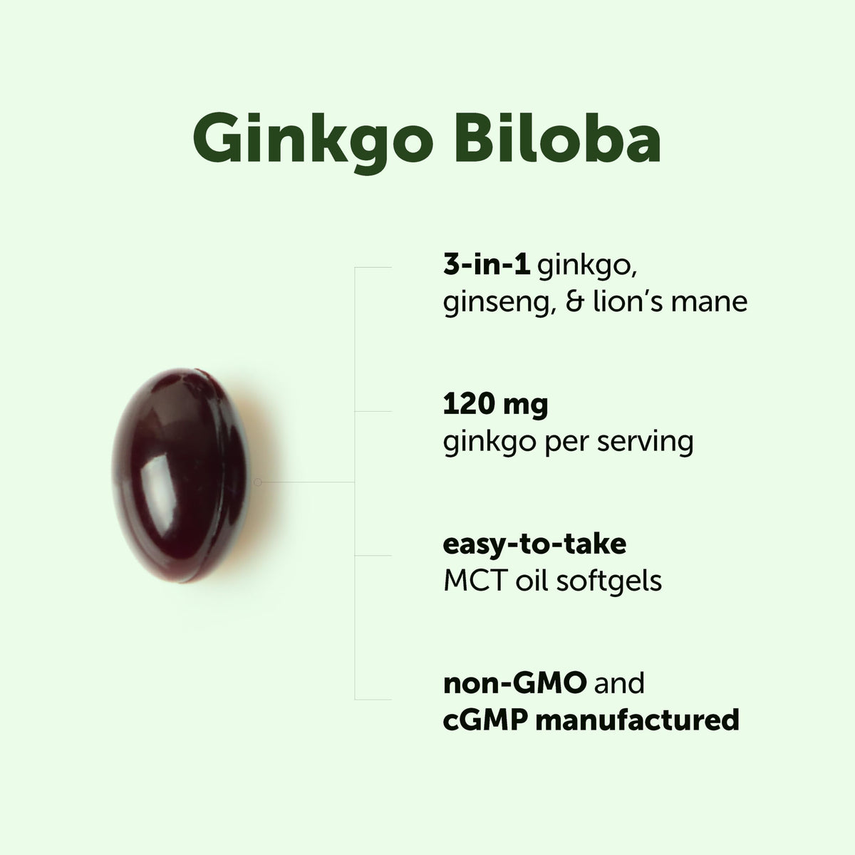 Gélules de Ginkgo Biloba, Ginseng et Lion's Mane