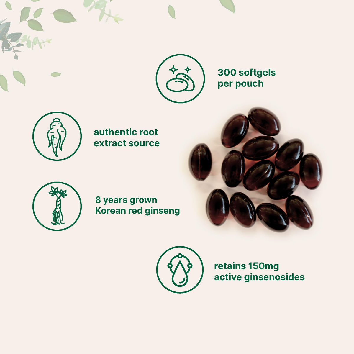 Gélules de ginseng panax rouge Micro Ingredients, vue de dos