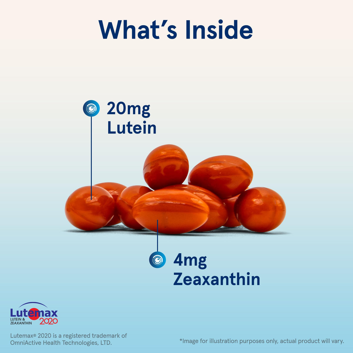 Gélules de Jarrow Lutein 20 mg dans une main