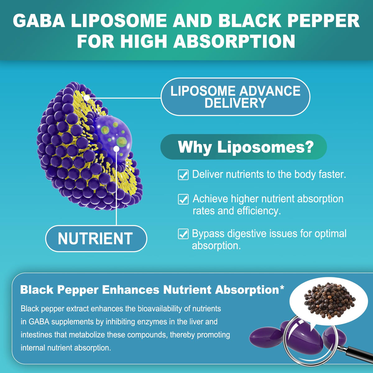 Gélules de LILICARE GABA 1000mg dans la main