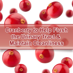 Gélules de magnésium citrate ZIPINKJ avec main pour échelle
