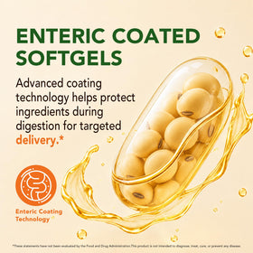 Gélules de Nattokinase 10000 FU sur fond blanc
