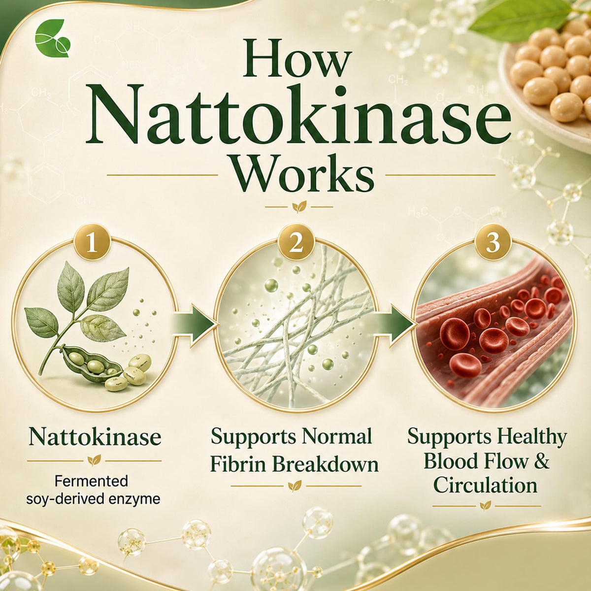 Gélules de Nattokinase prêtes à être prises