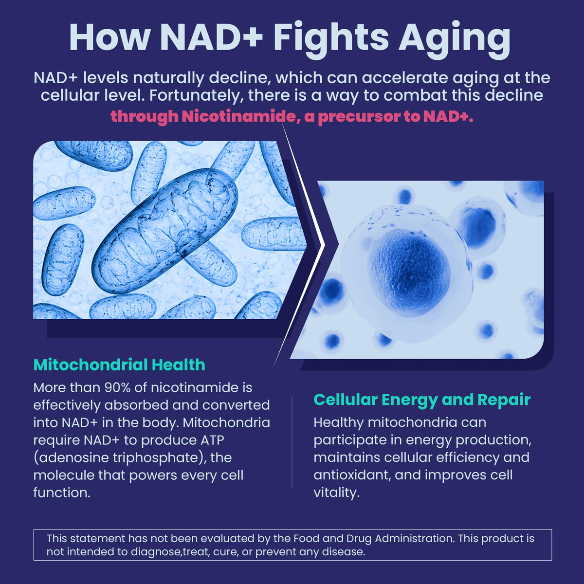 Gélules de Nicotinamide NEVISS avec ingrédients naturels