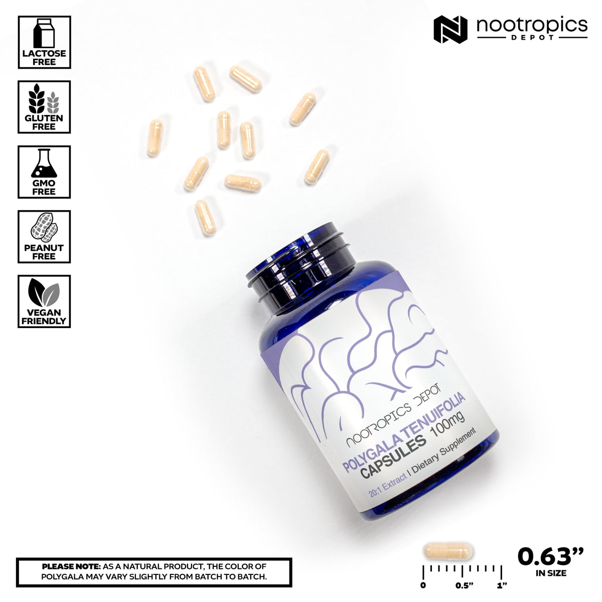 Gélules de Polygala tenuifolia avec dosage de 100mg