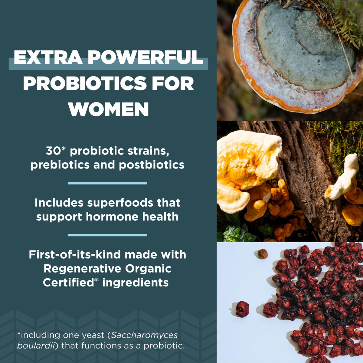 Gélules de Probiotiques Extra Fortes Femmes Ancient Nutrition