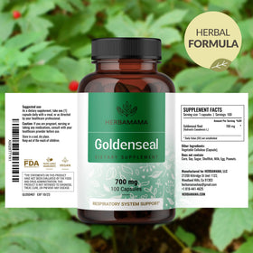 Gélules de racine de Goldenseal HERBAMAMA sur un fond blanc