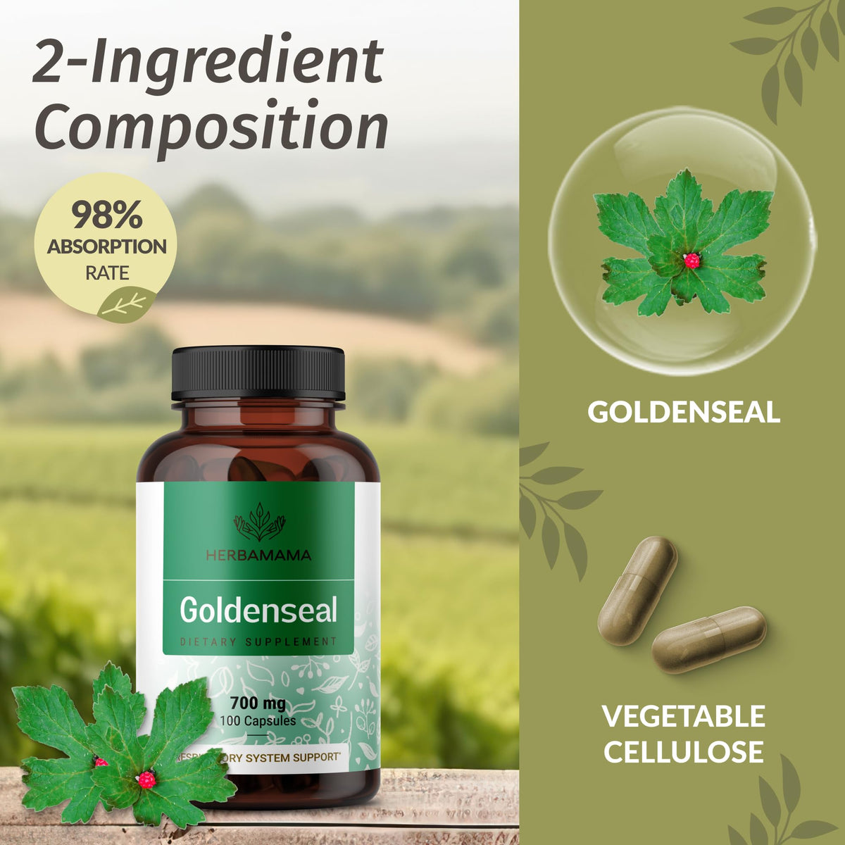 Gélules de racine de Goldenseal HERBAMAMA sur une table en bois