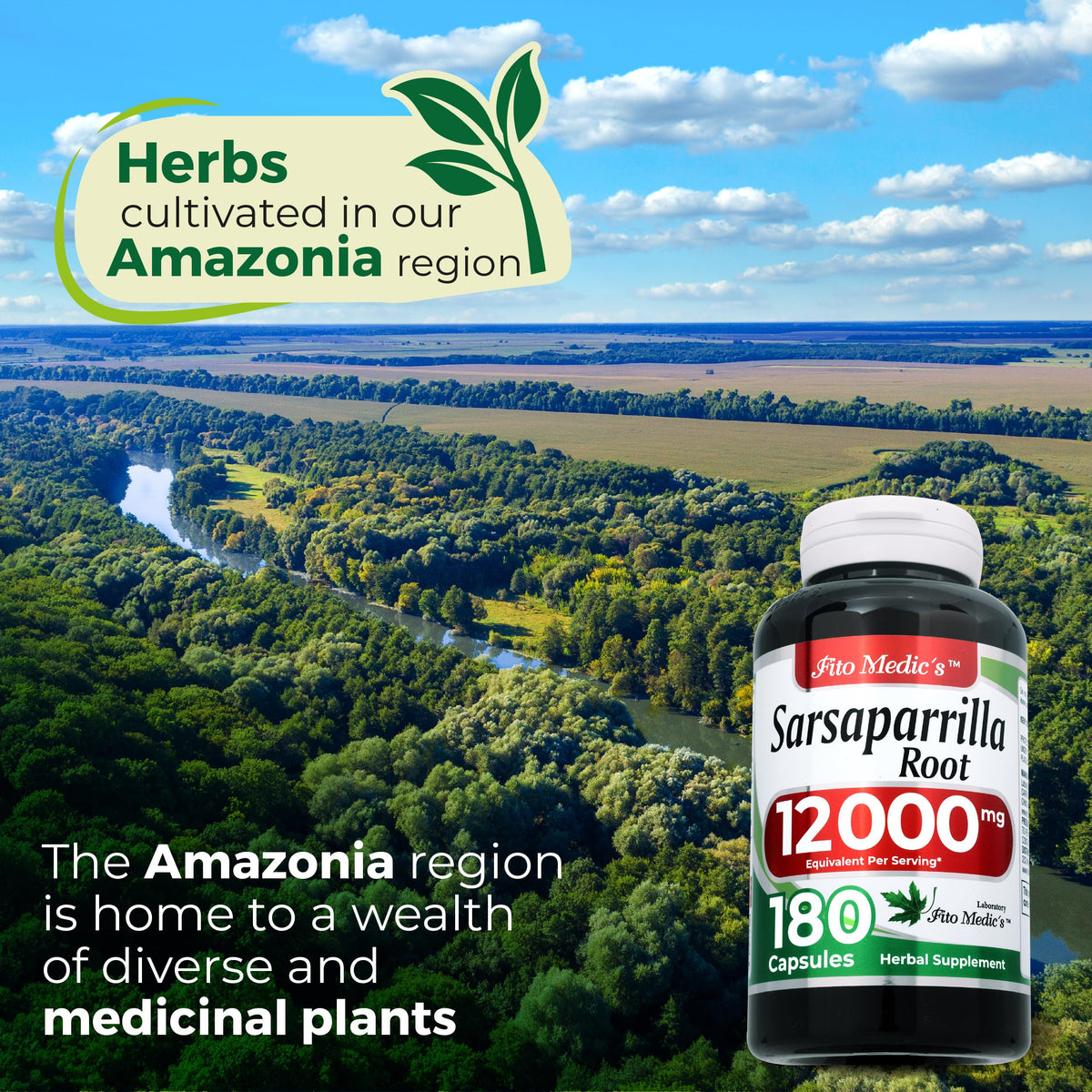 Gélules de Sarsaparilla FITO MEDIC'S avec racine de Sarsaparilla en arrière-plan