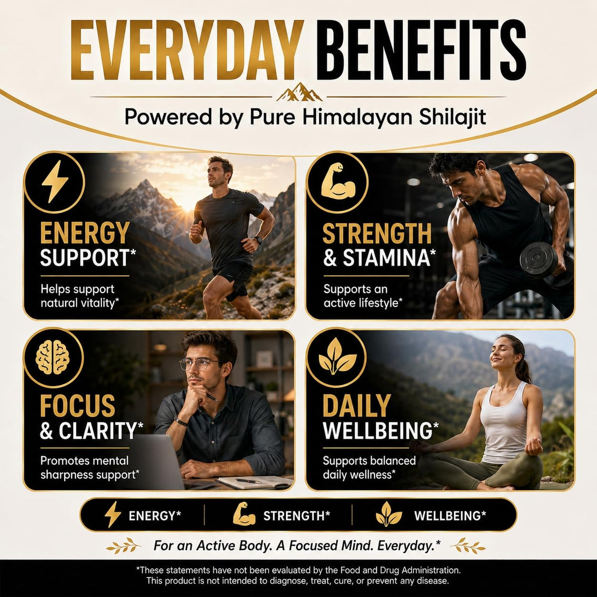 Gélules de Shilajit Fubienfit dans une main