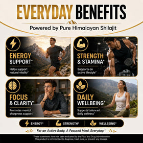 Gélules de Shilajit Fubienfit dans une main