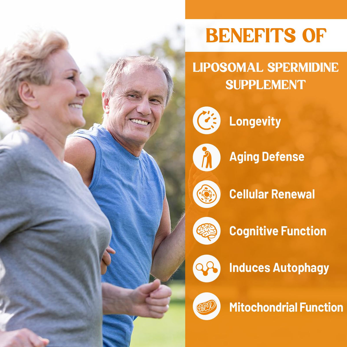 Gélules de spermidine 30mg CORPORALIGHT avec étiquetage détaillé