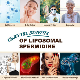 Gélules de spermidine à côté d'un verre d'eau