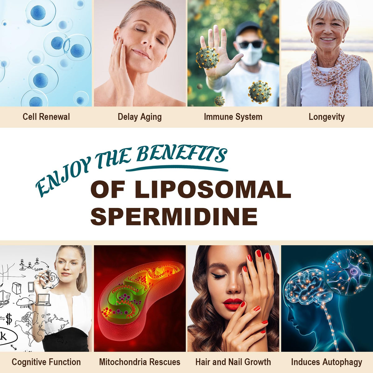 Gélules de spermidine dans une main
