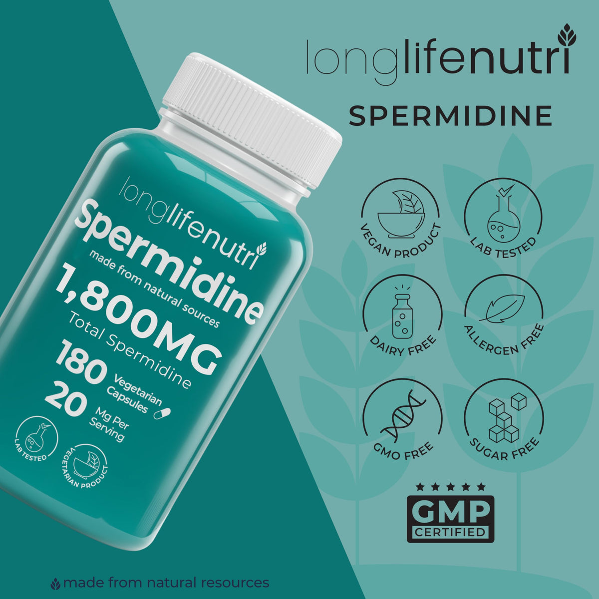Gélules de spermidine sur fond blanc