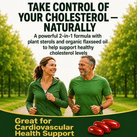 Gélules de stérols végétaux NEW ROOTS HERBAL sur fond blanc