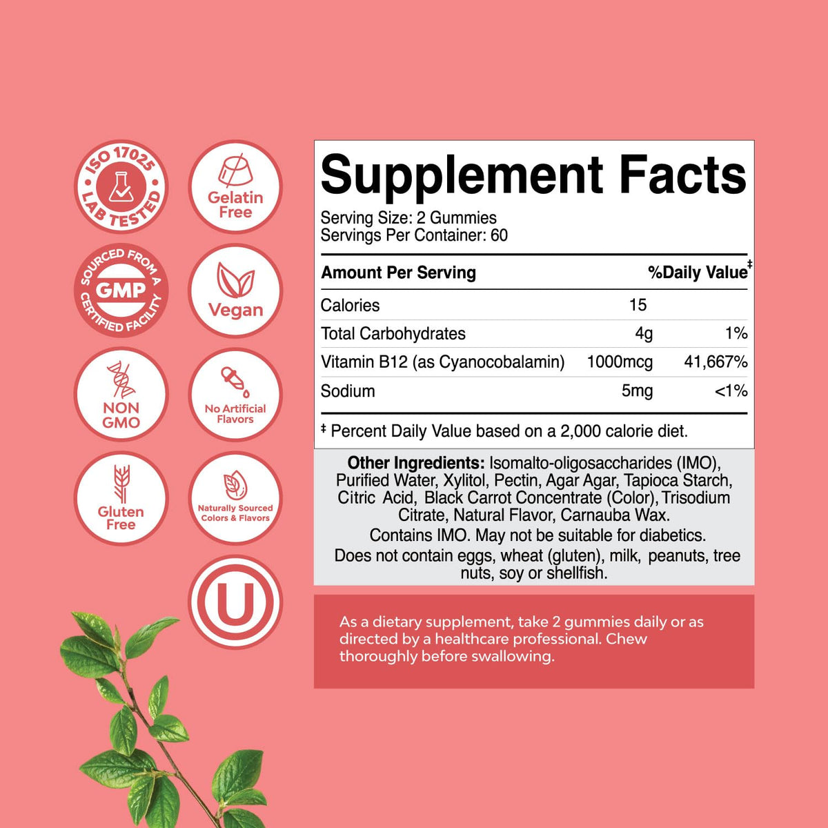 Gélules de Vitamine B12 Natures Craft avec des fruits