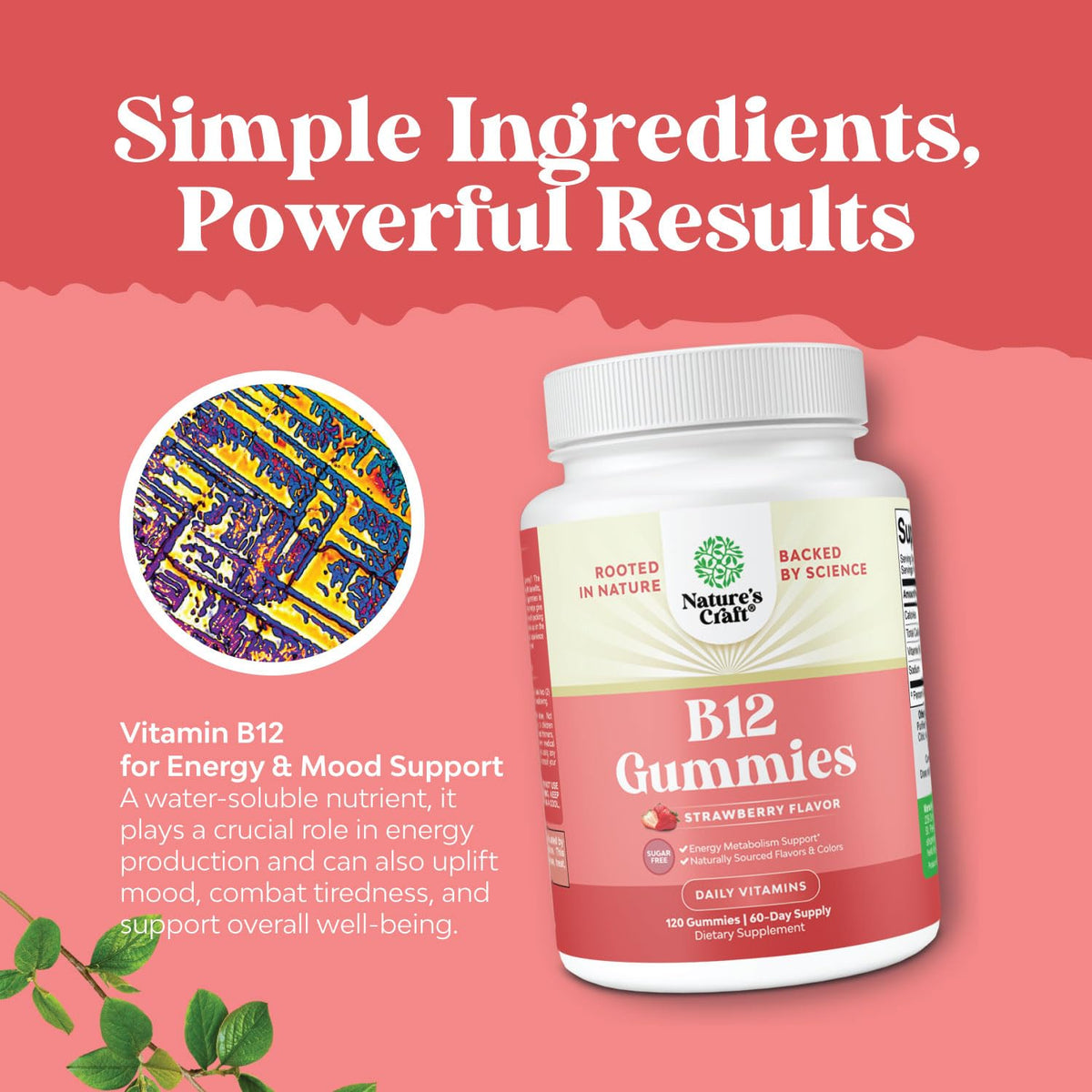 Gélules de Vitamine B12 Natures Craft sur une table
