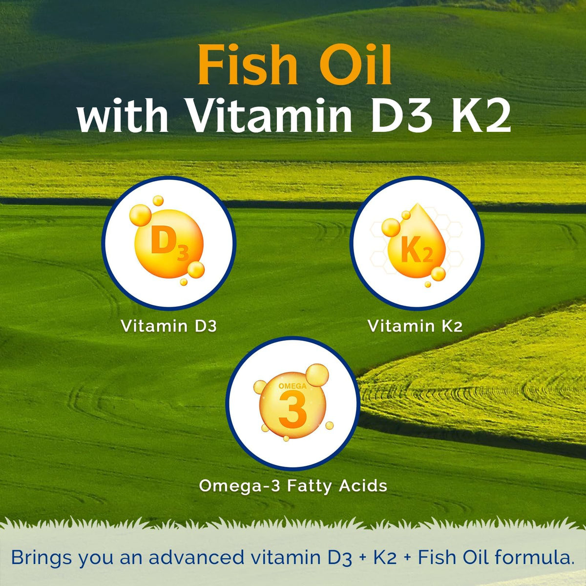 Gélules douces Innate Vitality Omega 3 sur fond blanc