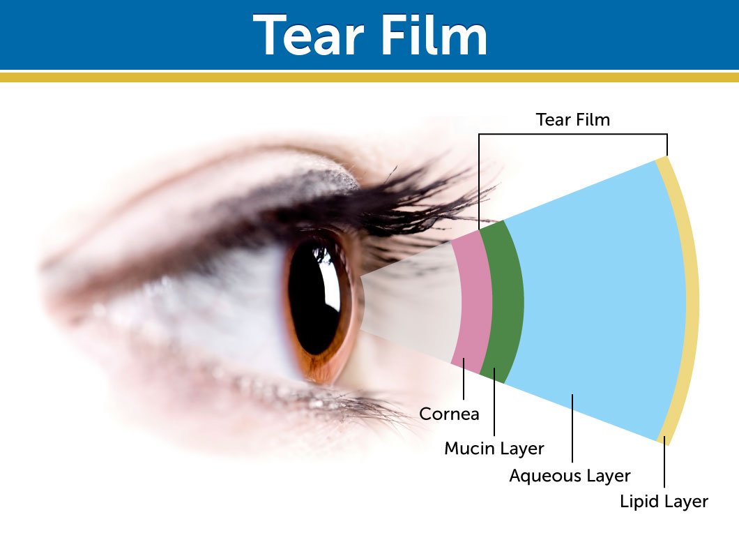 Gélules DR.WHITAKER Eyedrate dans une main