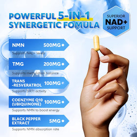 Gélules Fitfido NMN 500mg sur fond blanc