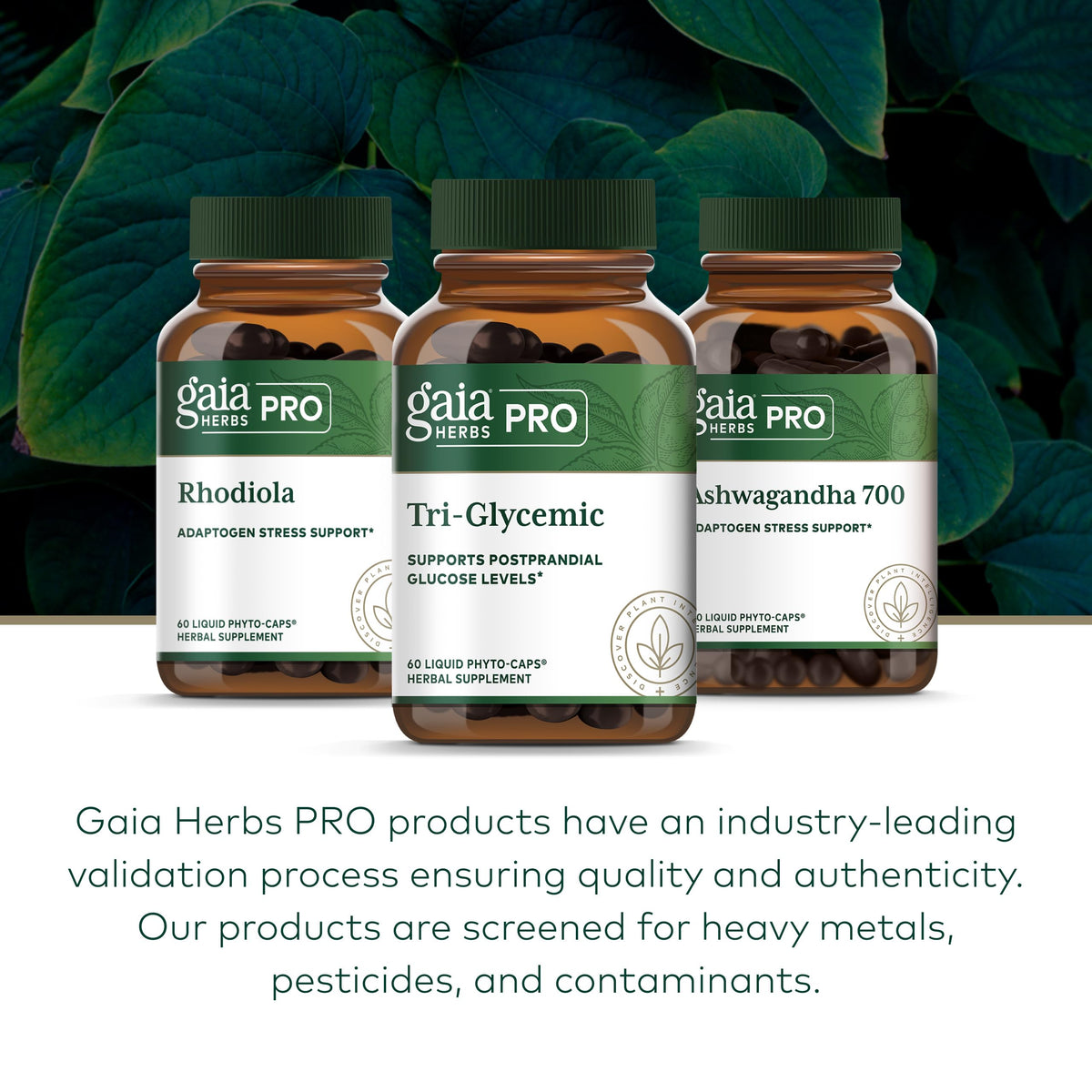 Gélules Gaia Herbs PRO Tri-Glycemic avec des herbes fraîches