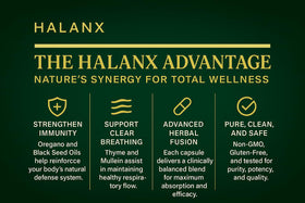 Gélules Halanx Huile d'Origan ouvertes pour montrer le contenu