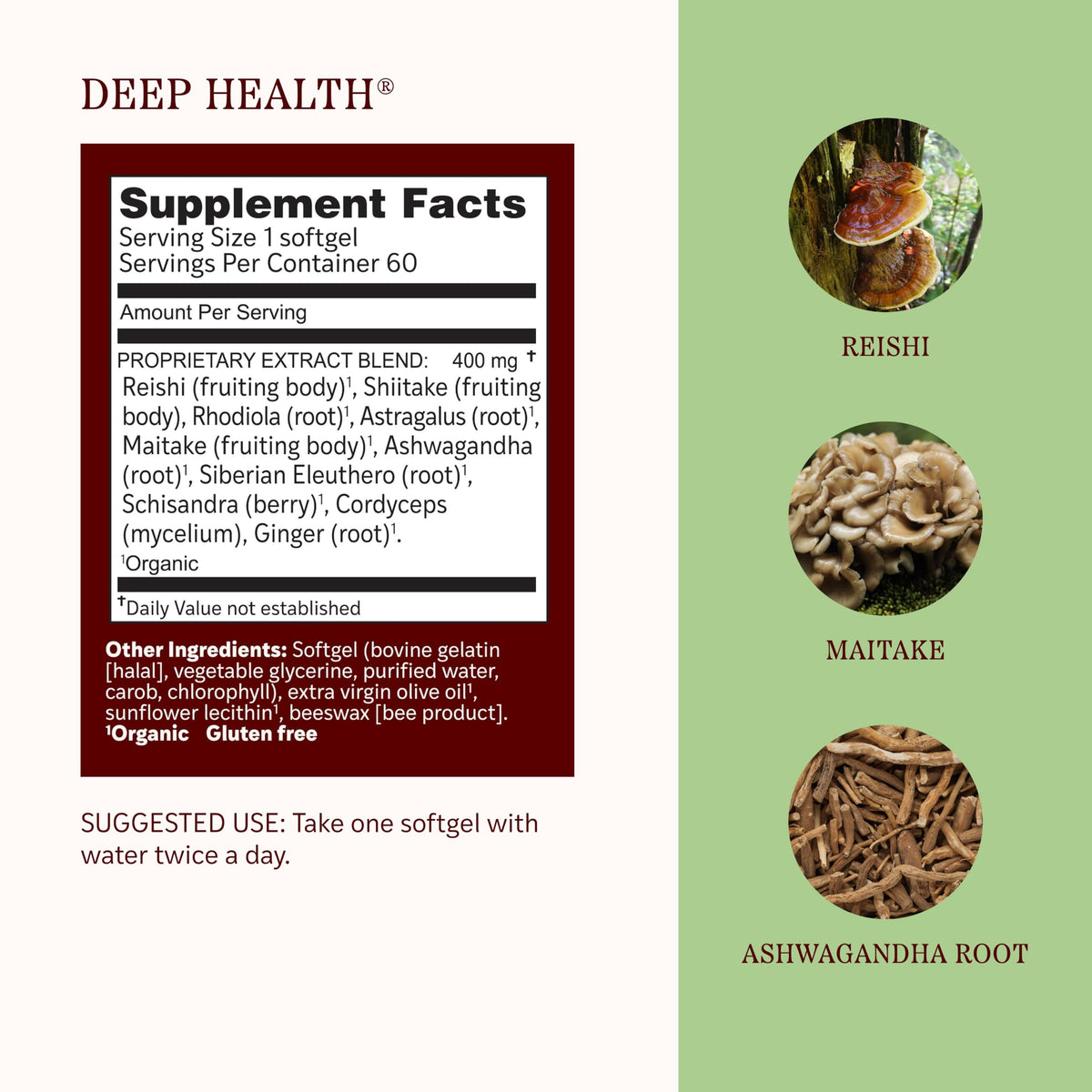 Gélules Herbs Etc. Deep Health avec des herbes en arrière-plan