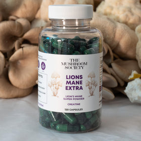 Gélules Lion’s Mane et créatine sur un fond neutre