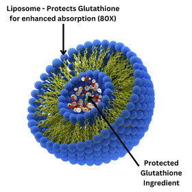 Gélules Liposomal Glutathione sur une table en bois
