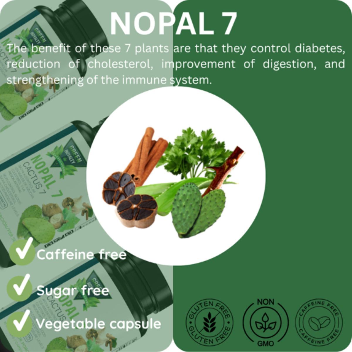 Gélules Nopal 7 dans un bol avec des plantes à côté