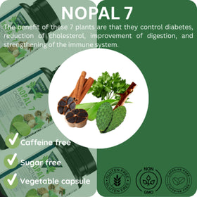 Gélules Nopal 7 dans un bol avec des plantes à côté
