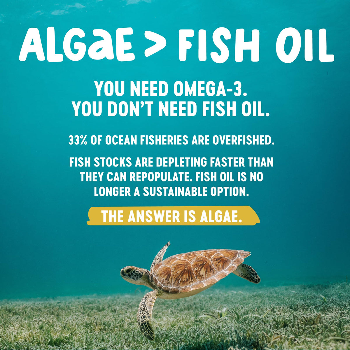 Gélules Omega 3 DHA Freshfield dans une main