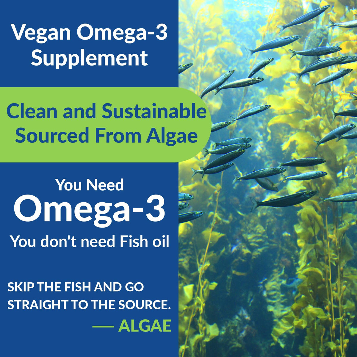 Gélules Omega 3 Végétales VitalityPeak avec ingrédients