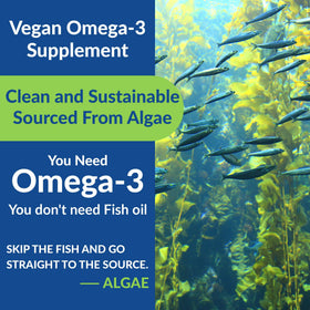 Gélules Omega 3 Végétales VitalityPeak avec ingrédients
