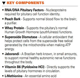 Gélules Système Formulas #32 Bio Function Gb sur fond blanc