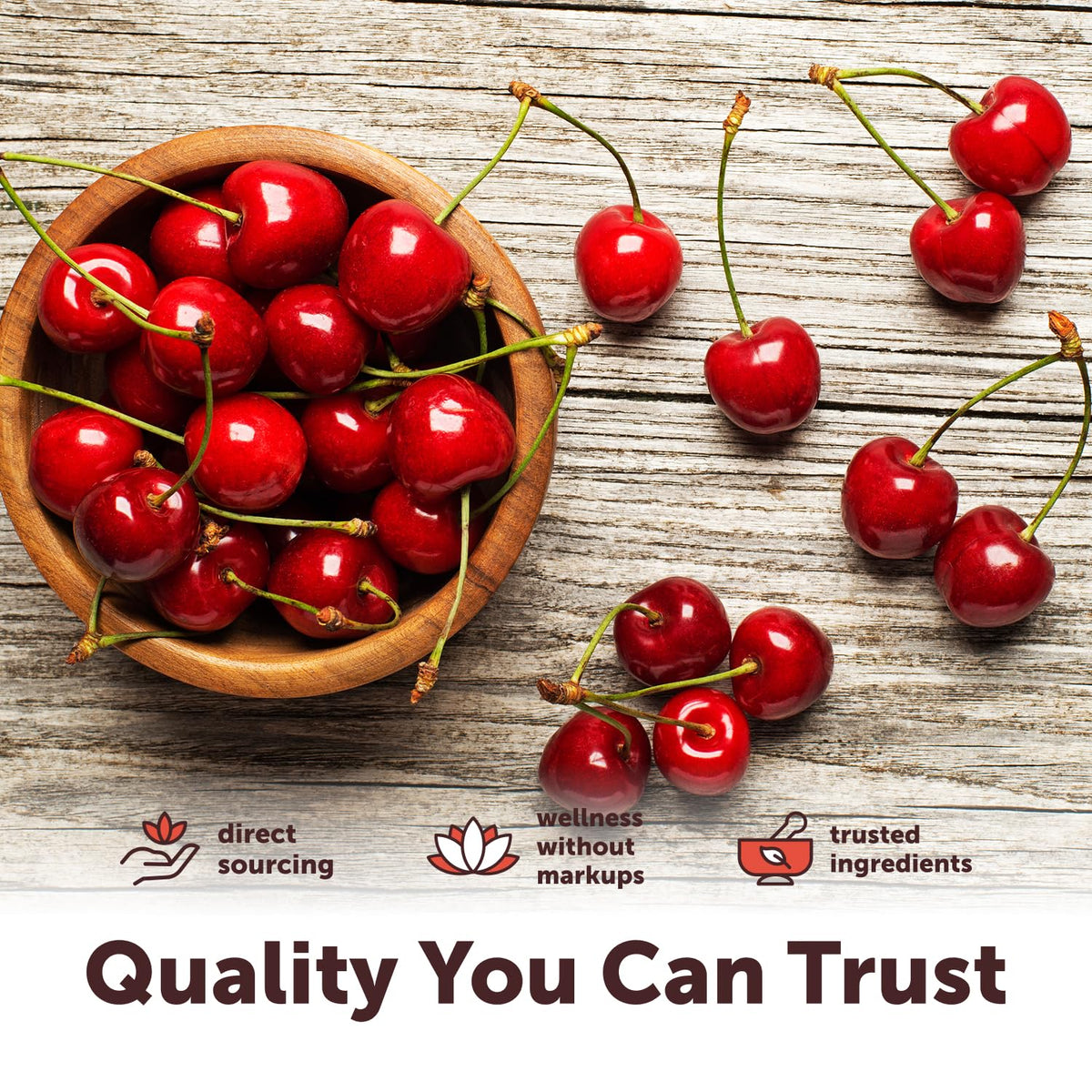 Gélules Tart Cherry+ avec mise en avant des ingrédients